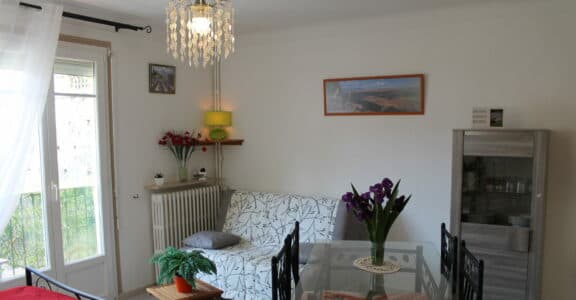 T1 vue sur les montagnes – Rives