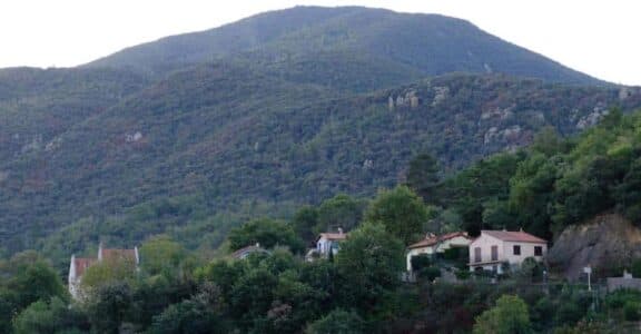 Vue dela location à Amélie-les-Bains, proposée par Mr Dumitrascu