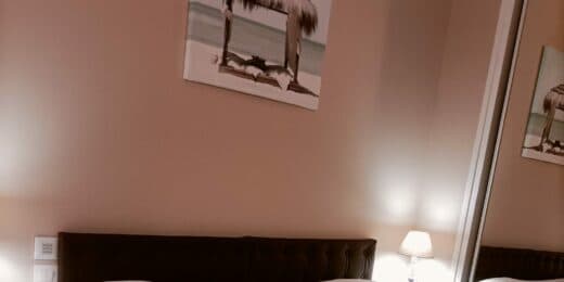 Joli T2 35 M² -Dissay