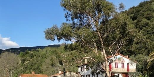 T2 N°2, Gites du Camps de Las Basses