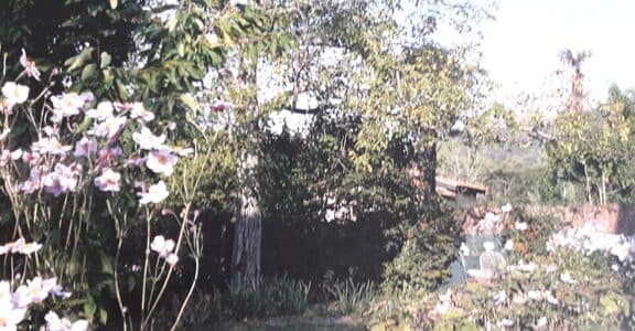 T2 de 72 M2 avec jardin dans villa – Bouhin